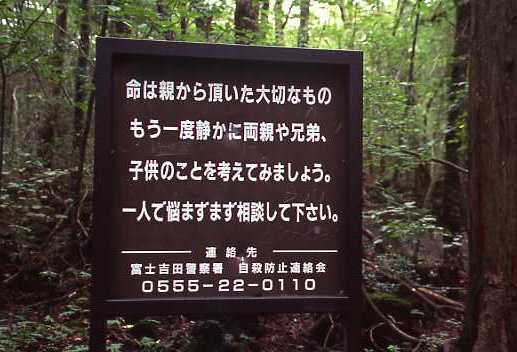 【朗報】日本の自殺名所として知られる『青木ヶ原樹海』が普通の観光名所としてブレイク中！負のイメージ完全払拭か オレ的ゲーム速報＠刃 