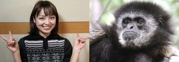 金田朋子 シロテテナガザル 周波数 声優に関連した画像-01