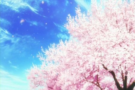桜　さくら　アニメ　ランキング　カードキャプター　秒速5センチ　四月は君の嘘　D.C.に関連した画像-01