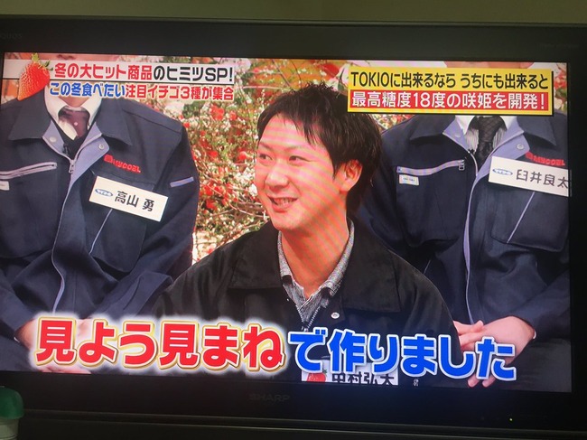 イチゴ 品種改良 TOKIO 農家 咲姫に関連した画像-05