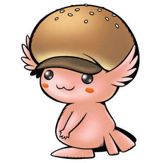 img_297382_8436370_0