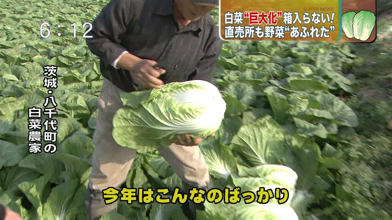 今日保存した最高の画像を転載するスレ 334YouTube動画>11本 ニコニコ動画>1本 ->画像>1222枚 