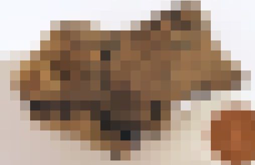 恐竜 脳 化石 世界初に関連した画像-01
