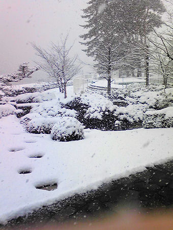 琵琶湖雪