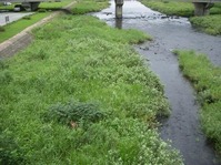 DSCN6758