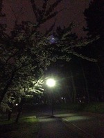 IMG_5813