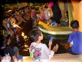 DSCN5465