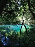 IMG_1100