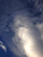 IMG_0917