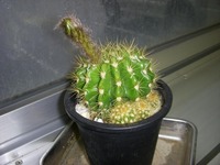 DSCN6748
