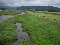 DSCN6759