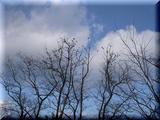 DSCN4408