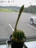 DSCN6751