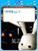 ウサギ