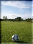 DSCN6137