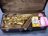 SAXたち