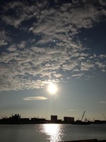 IMG_0513