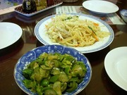 DSCN5827