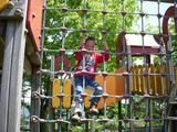サンサン