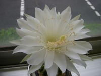 DSCN6757