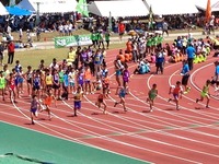 IMG_3255