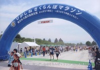 さくらんぼ2