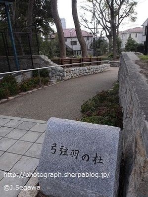 弓弦羽(ゆづるは)神社