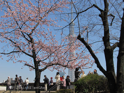 隅田公園