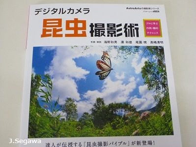 昆虫撮影術