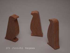 PENでバウンス撮影