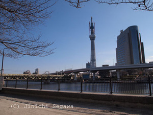 浅草でスカイツリー撮影