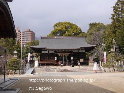 弓弦羽(ゆづるは)神社
