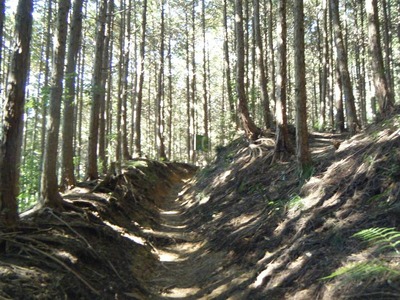 2010岩山-4