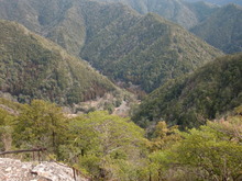CIMG1186