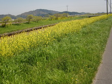 CIMG1342