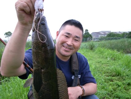 トークライブ12