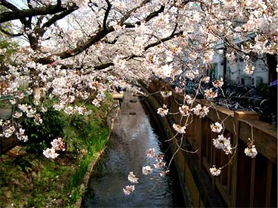 futaryo-1