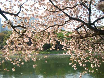 将軍-2