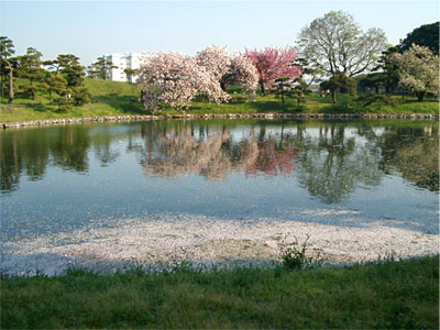 将軍-1