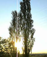 041015-163949.jpg