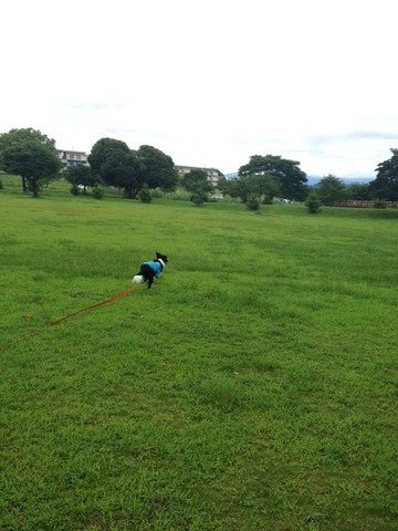公園2