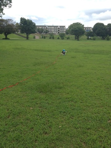 公園1