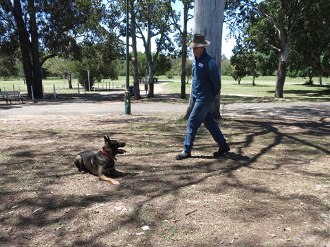 IMG_20161013_235331