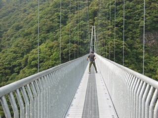 写真 1