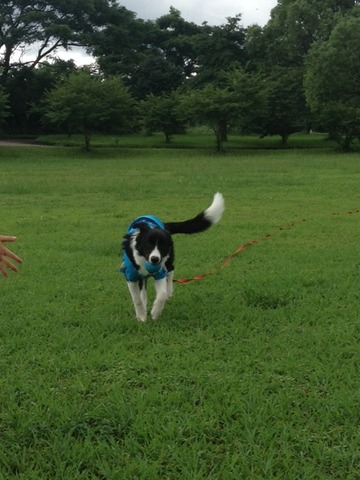 公園4
