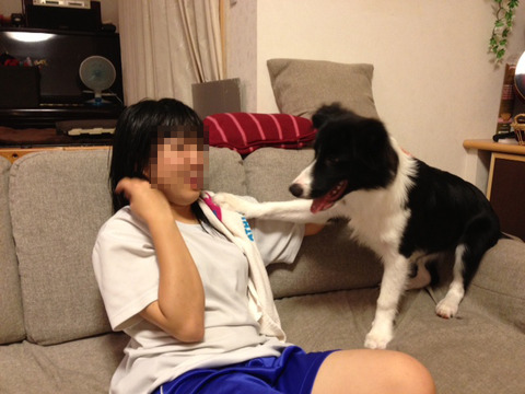 がんばれよ