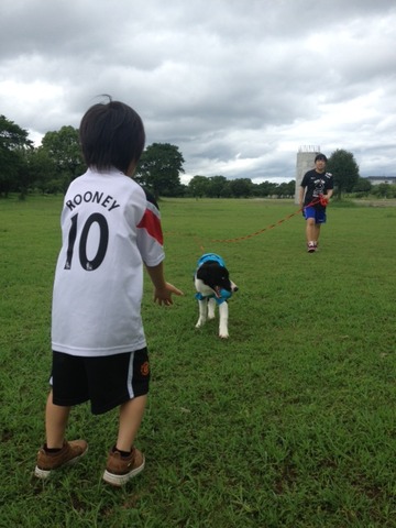 公園5