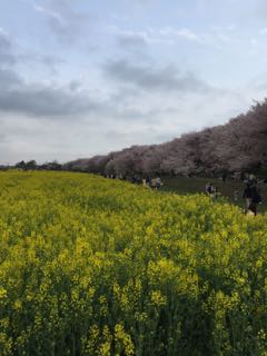 IMG_2272