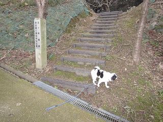 IMG_0448