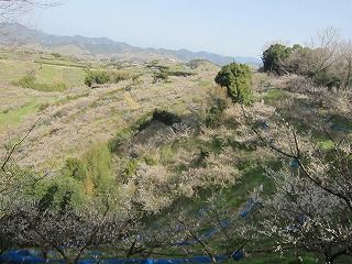 IMG_0353